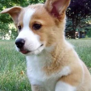 Meet your Posher, Kri